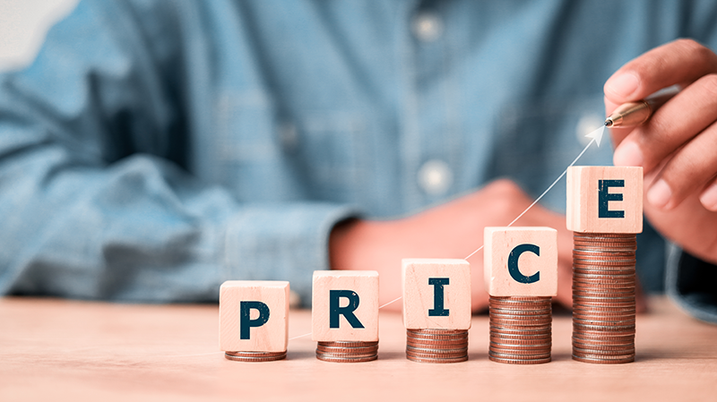 What-Influences-Pricing-image