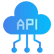 Custom Integrations & APIs